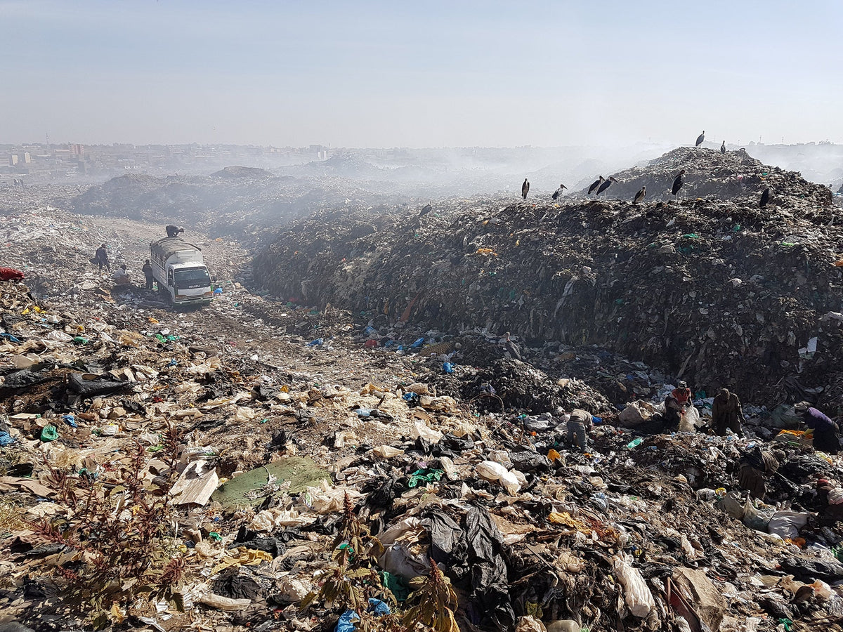 Sustainable Fashion: Bridging the Gap for the Best Results - AYRA
