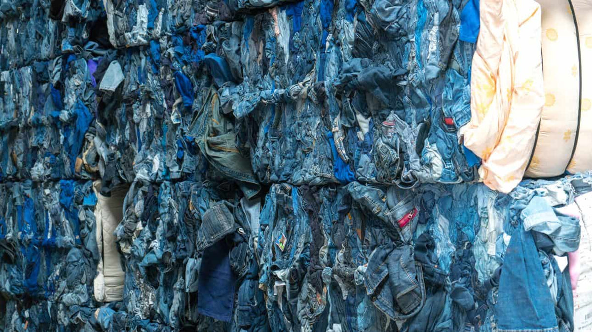 The Regeneration of Recycling - AYRA