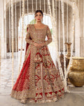 juri-hand-embellished-organza-open-cut-bridal-pishwas-gown-ayra