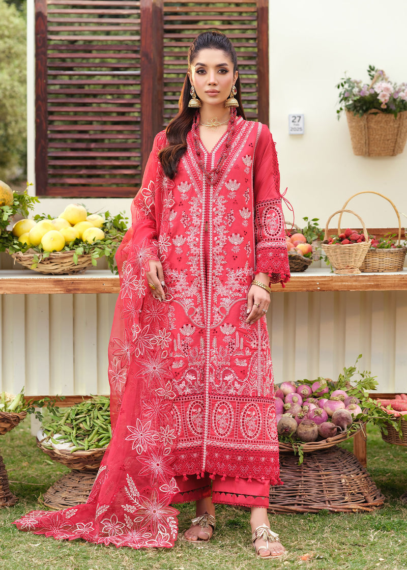 Woman in a red embroidered traditional outfit standing outdoors with a rustic background.
