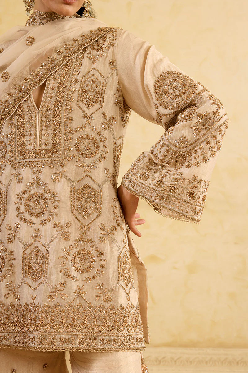 zoya-handcrafted-gold-beadwork-and-geometric-embroidery-on-tissue-silk-sleeves-ayra