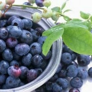 Ekstrak-Buah-Bilberry.jpg